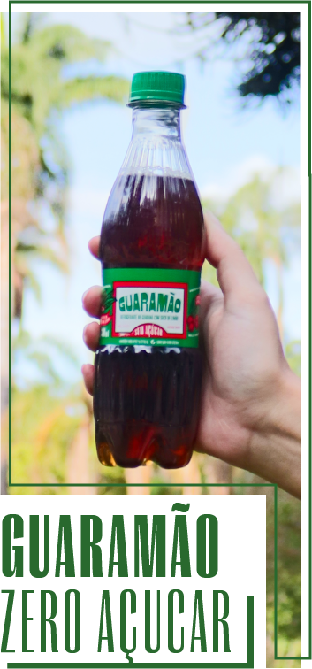 GUARAMÃO ZERO AÇÚCAR